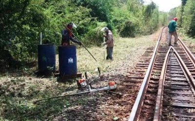 Pico y Poda 2021 Ferrominera asegura condiciones de las vías férreas para transporte de mineral