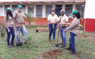 Ferrominera cumple con los objetivos de Gestión Ambiental