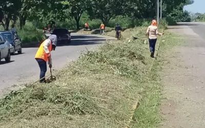Ferrominera continúa plan de desmalezamiento en la ciudad