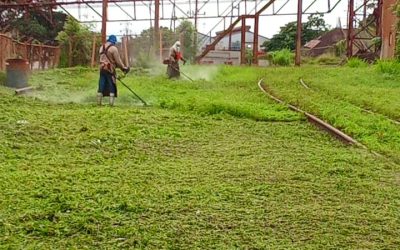Continúan jornadas de desmalezamiento en Ferrominera y zonas adyacentes