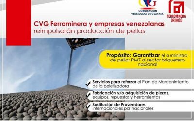 Ferrominera garantiza el suministro de pellas PM7 al sector briquetero nacional