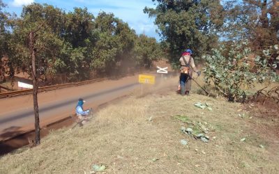 Gerencia de Servicios mantiene Plan de embellecimiento y optimización de áreas