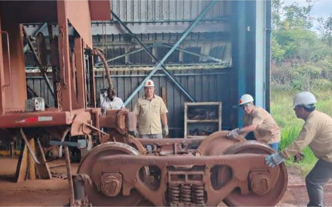 FERROMINEROS INCORPORARON 111 VAGONES A LA FLOTA DE LA INDUSTRIA