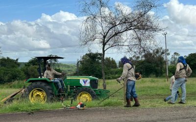 CVG realiza jornada de desmalezamiento en Campo C de Ferrominera