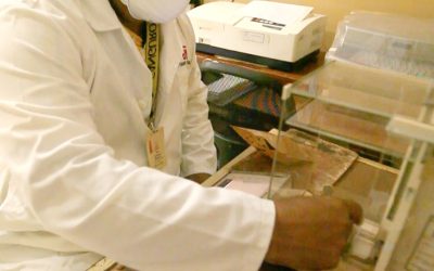 Ferrominera garantiza calidad de su materia prima